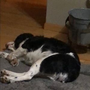 Meet your Posher, Katie